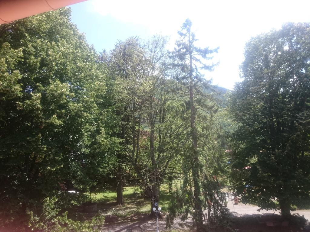 Hotel Le Mas Fleuri Vernet-les-Bains Eksteriør billede